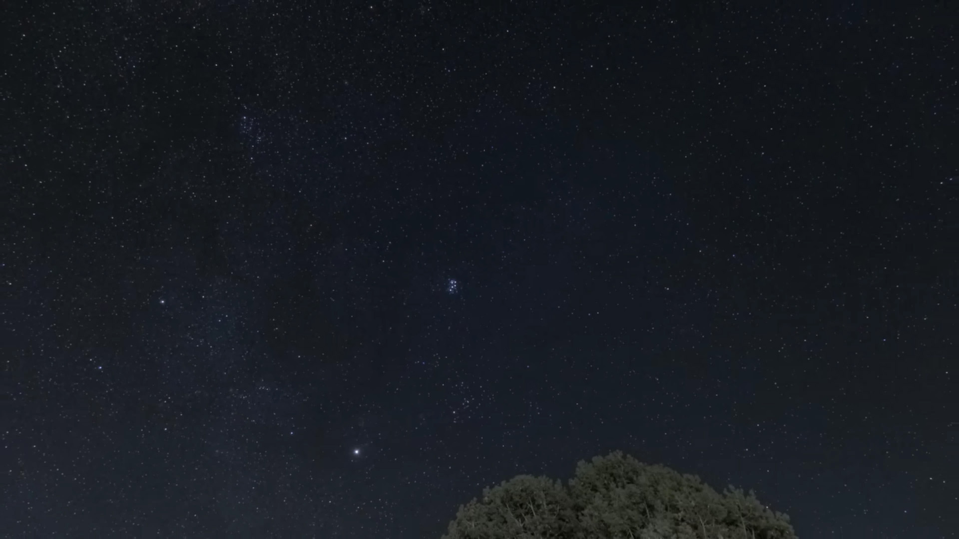 marrage proposal star locaion